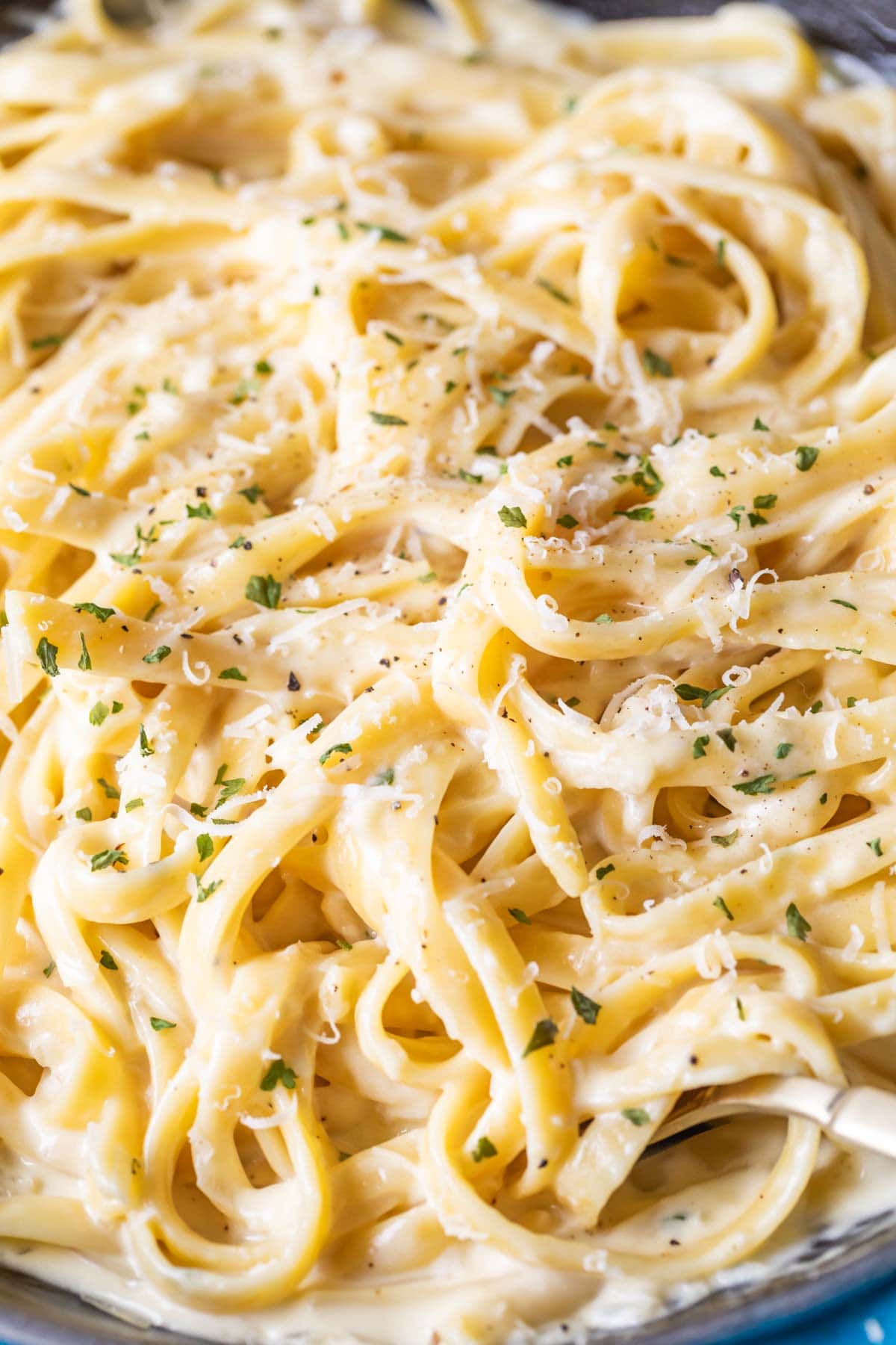 Close up view of fettuccine pasta tossed in alfredo sauce and topped with parmesan cheese and parsley.