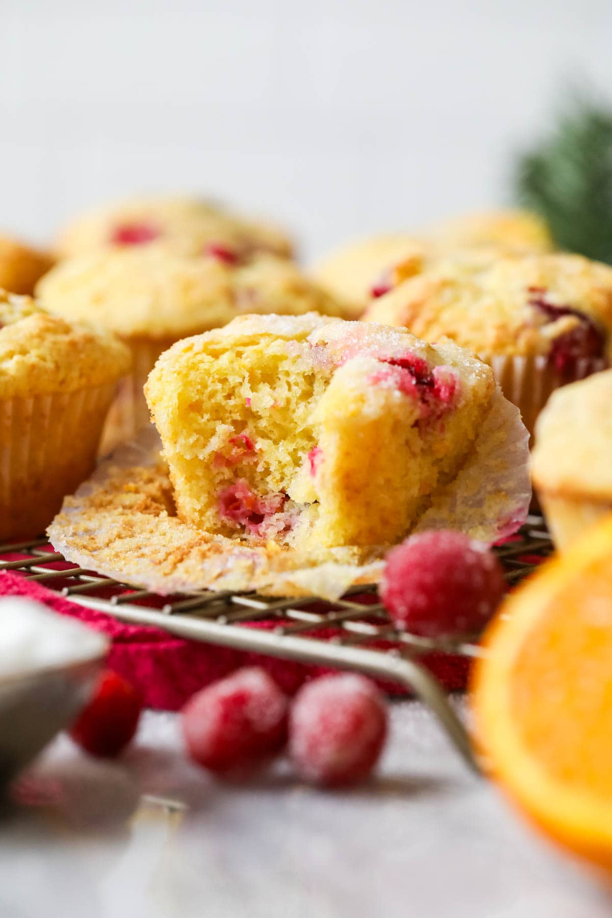 Cranberry orange muffin missing one bite.