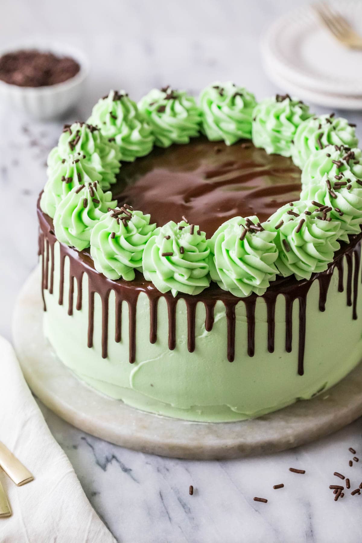 Mint chocolate cake decorated with mint green frosting, chocolate ganache drip, and piped icing swirls.