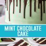 collage of mint chocolate cake, top image of full cake, bottom image of single slice on white plate